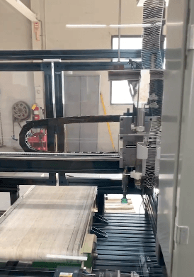 Custom Gantry Robot System